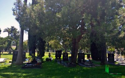 Hollywood Forever Cemetery