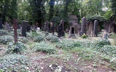 Cementerio de Olsany, Praga