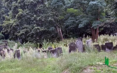 Cementerio judío de Varsovia, Polonia
