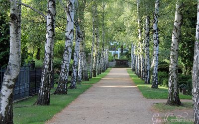 Cementerio Dorotheenstadt, Berlín