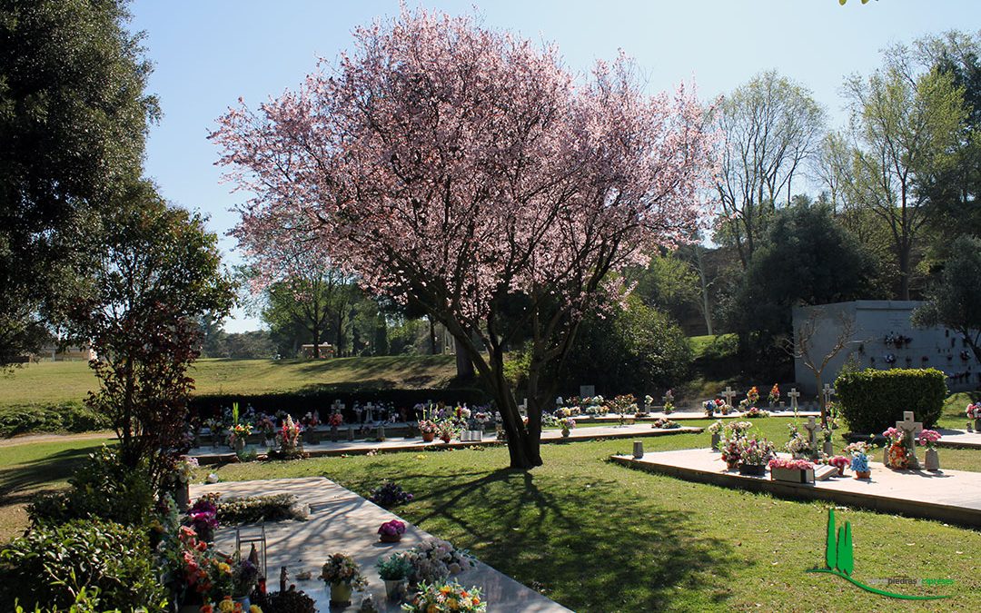 Cementerio Jardín de Alcalá de Henares