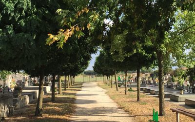 Cementerio de Domaszek, Hungría