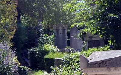 Historias de cementerios: La Dama del Musgo