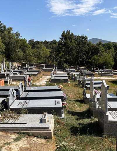 Cementerio municipal de Montejo de la Sierra