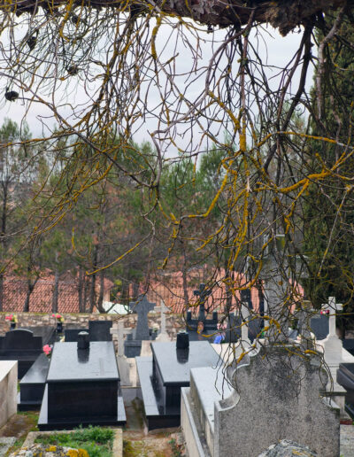 Cementerio de Corpa