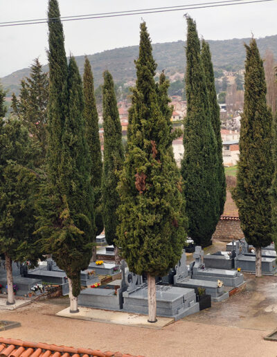 Cementerio de Ambite