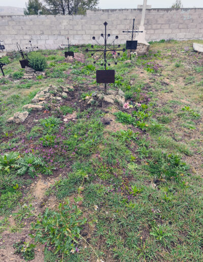 Cementerio parroquial de Brea de Tajo