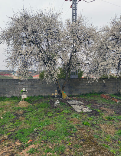 Cementerio parroquial de Brea de Tajo