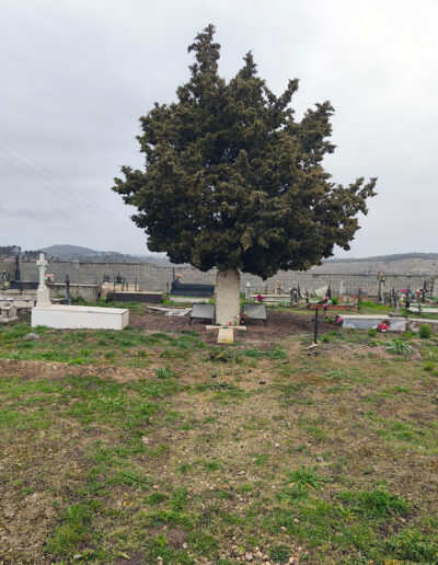 Cementerio parroquial de Brea de Tajo