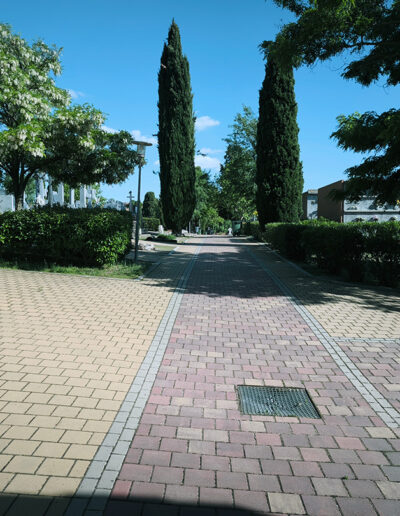 Cementerio de Algete