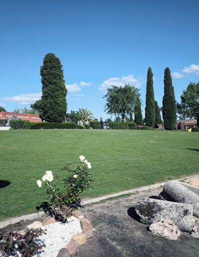 Cementerio de Algete