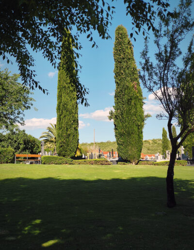 Cementerio de Algete